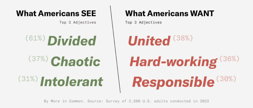 What Americans See : What Americans Want Survey Results Graphic